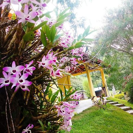 Casa Com Flores Pedra Azul  Εξωτερικό φωτογραφία