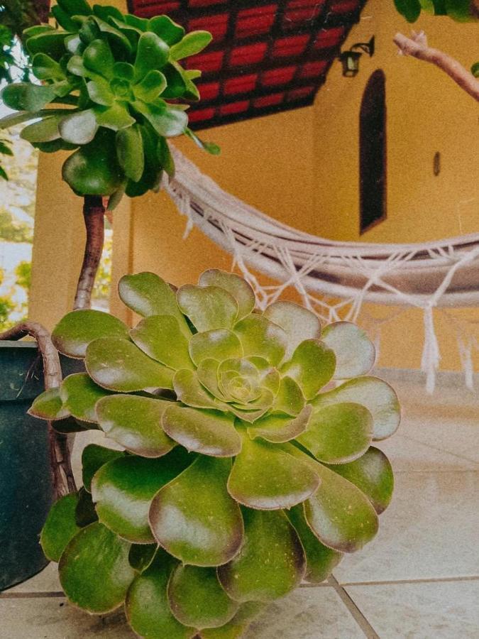 Casa Com Flores Pedra Azul  Εξωτερικό φωτογραφία